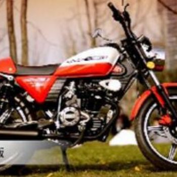 �¸о�XGJ150-31����ŷʽ���ų�