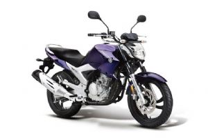 ����-�������Ʒ���250 YS250