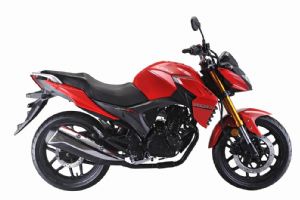 ����LF200-10R����ͼƬ