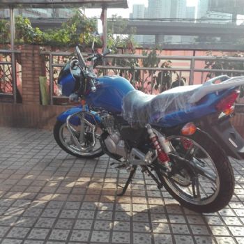  ������ľEN150������
