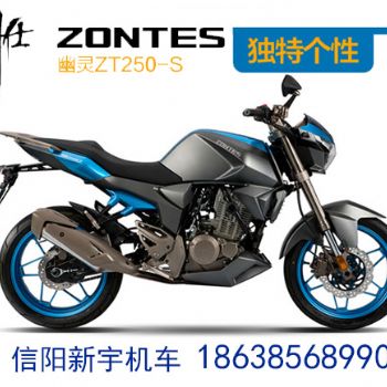 �����ʹ��� ����ZT250-S