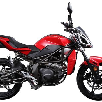 ���� �ױ� ZS250GS-3
