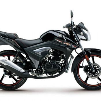 ������ľ KA125 HJ125-22
