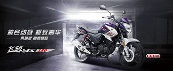  ����������YS150
