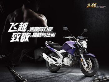 ����������YS250