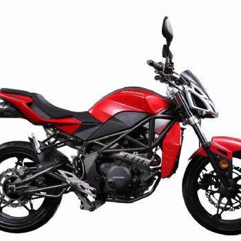 ZS250GS-3 �ױ�