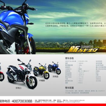 ZS250-7 ��ս��