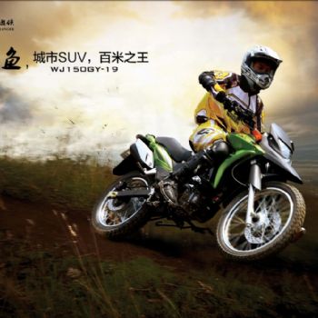 ������� ���� WJ150GY-19