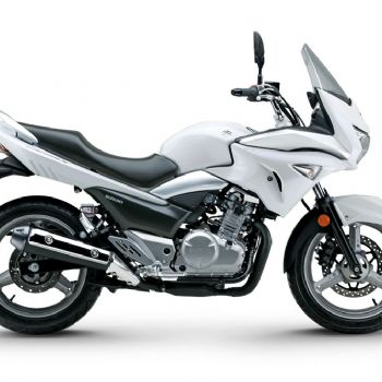 ������ľ ��� GW250F