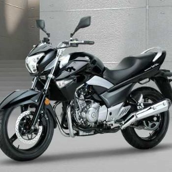 ������ľ ��� GW250