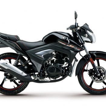������ľ KA125 HJ125-22