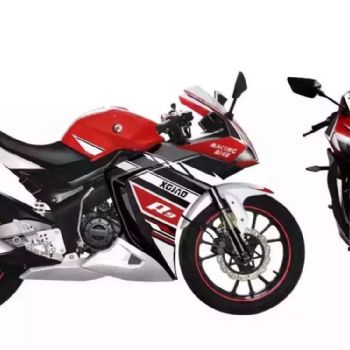 �¸о� XGJ250-28