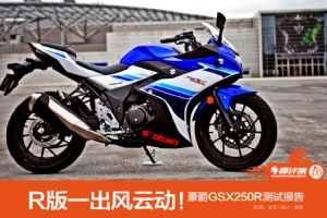 ������ľGSX250R������ľGSX250R���Ա���