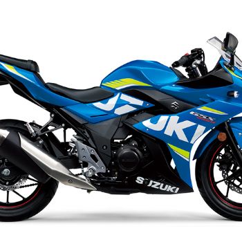 ������ľ  GSX250R