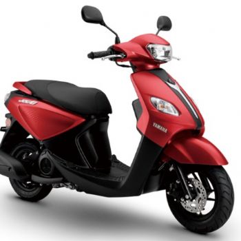����-������ �ɸ�i ZY125T-13����̤�峵��