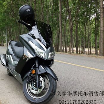 ������ͧ300