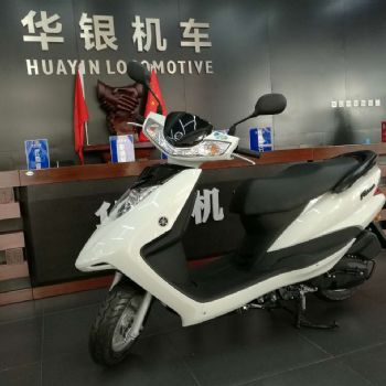 ������ ��ӥ ZY100T-12