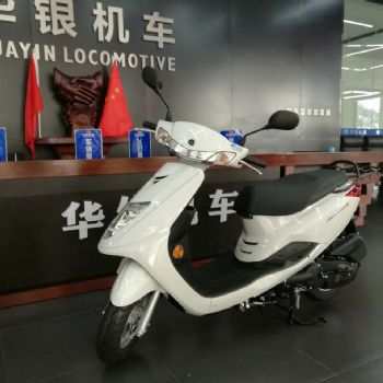 ������ ��ӥ ZY100T-13