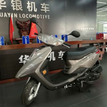  ������ ��ӥ ZY100T-10