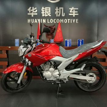  ������ ����250 YS250