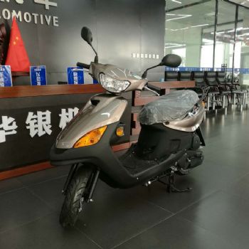 ������ ���� LYM100T-4