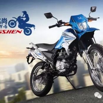  �������ZS150GY-6