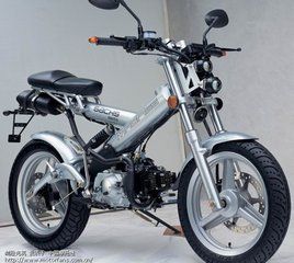  ��ӥ����