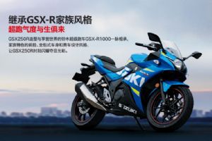 ������ľGSX250R��Ʒ�ֲ�