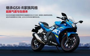 ��ľGSX250R