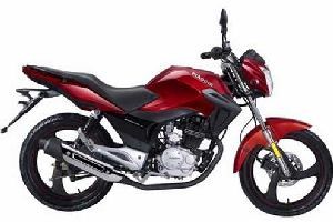 ��������� �ޱ�ѷRobinsonBYQ125-8 ��׼�桭