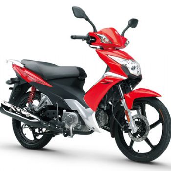 ������ľ �ŵ� HJ110-3