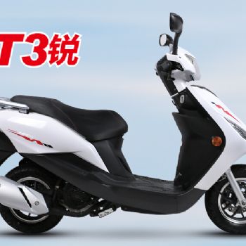  ZS125T-20
