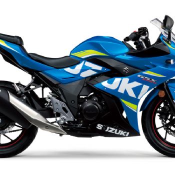 ������ľGSX250R