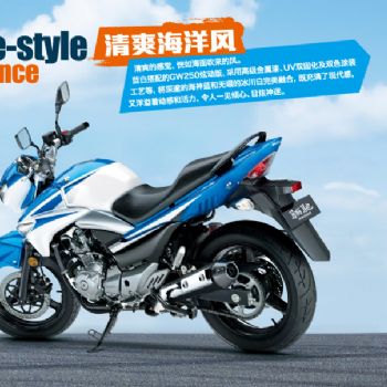  ���250
