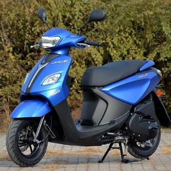 �����ɸ�i ZY125T-15 (ţĦ�����׵�������