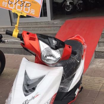  ������ľ ���125