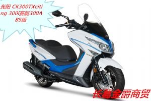 ���� CK300TXciting 300i��ͧ300ABS�桭