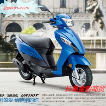 ������ľUR110T