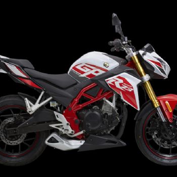 ������ RZ3 ZS250GS-2A