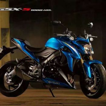 ��ľ GSX-S1000