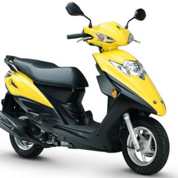������ľ VM100 HJ100T-5