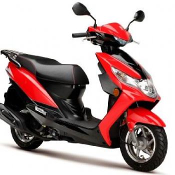 ������ľ VN100 HJ100T-6