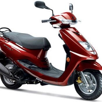 ����-������ ��ӥ ZY100T-13