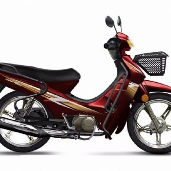 ����������ZS110-9S��ϲ����