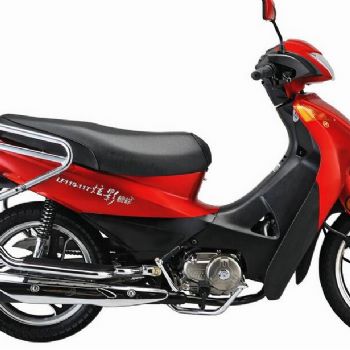 ����������LF110-11T��Ӱ����