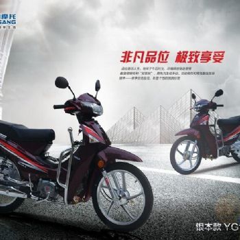 ����������YG110-A