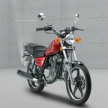 ������ľ  GN125-2F