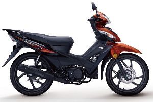 WH100-2A