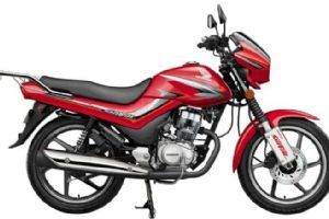 SDH125-50