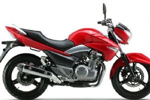 ������ľ ��� GW250